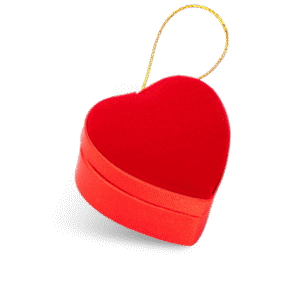 Coeur mini